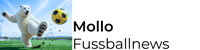 Fussball News